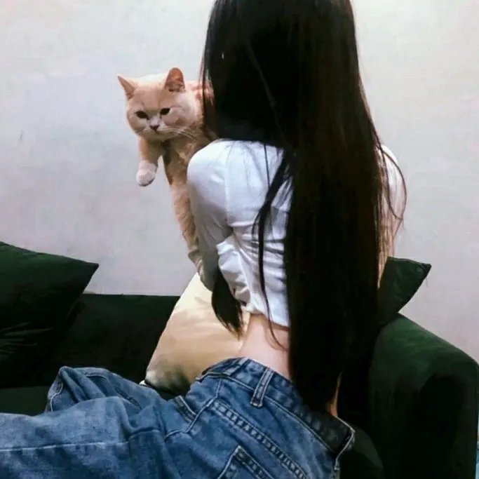 追剧推荐